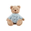 Big Brother Bear