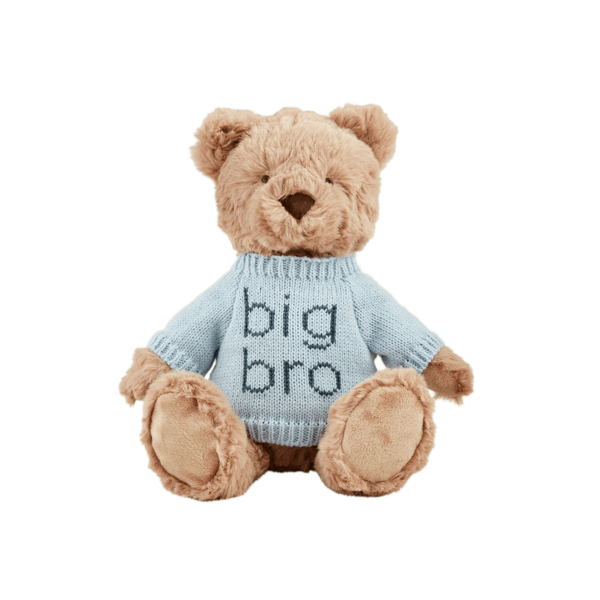 Big Brother Bear