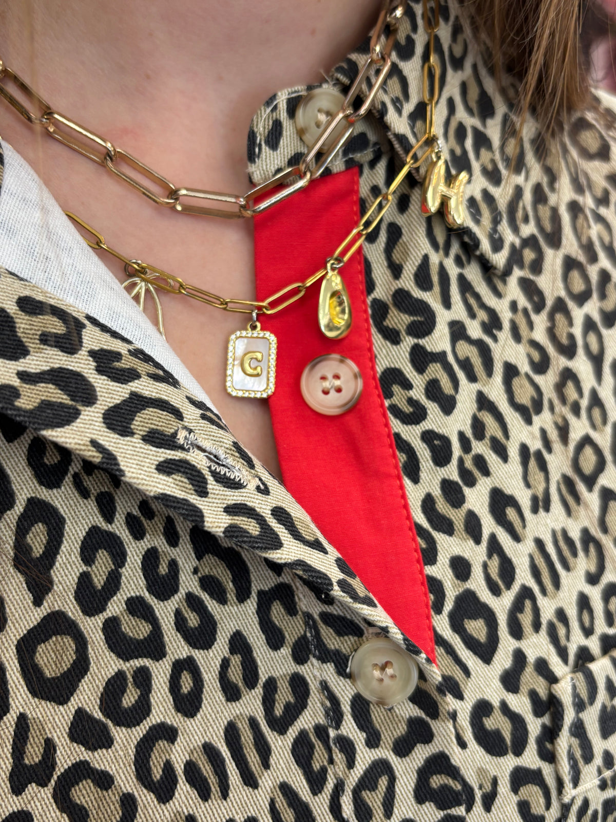 Leopard Button-Down Dress