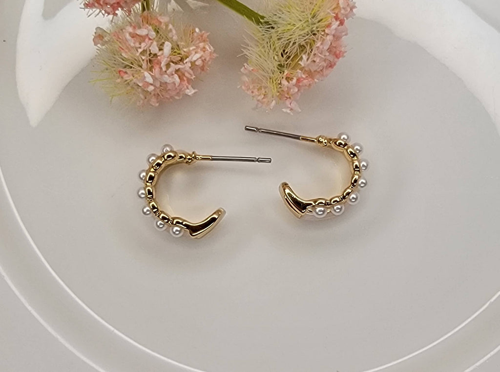 Small Double Layered Hoop Earrings